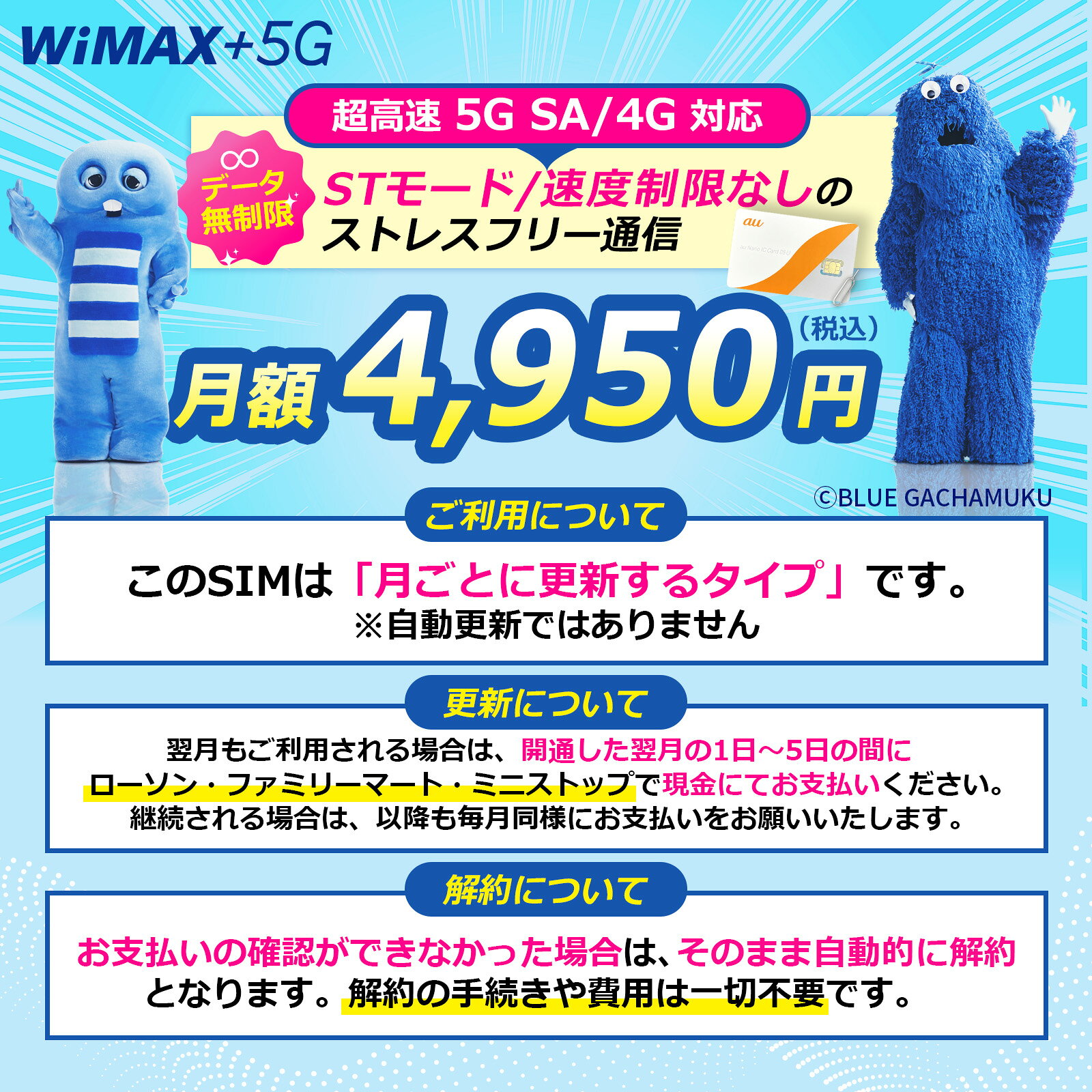 Wi-FiSHOPのデータ通信無制限 速度制限なし 返却不要 超高速5GSA 4G対応 1ヶ月更新 コンビニ払いOK 税込 月額4950円 DOCK5G01 5GSAWimax SIMセット｜アングル2