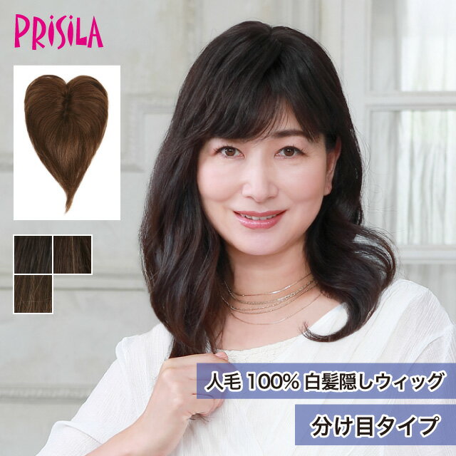 Rakuten - 【プリシラ 送料無料】人毛100%白髪隠しウィッグ 『分け目タイプ』ST-100 prisila ポイントウィッグ ヘアピース つむじ隠し 薄毛 部分ウィッグ ブラック ブラウン 白髪カバー 毛量 ボリュームアップ 人毛 シニア ミセス おしゃれ よそゆき 洋装 和装 耐熱