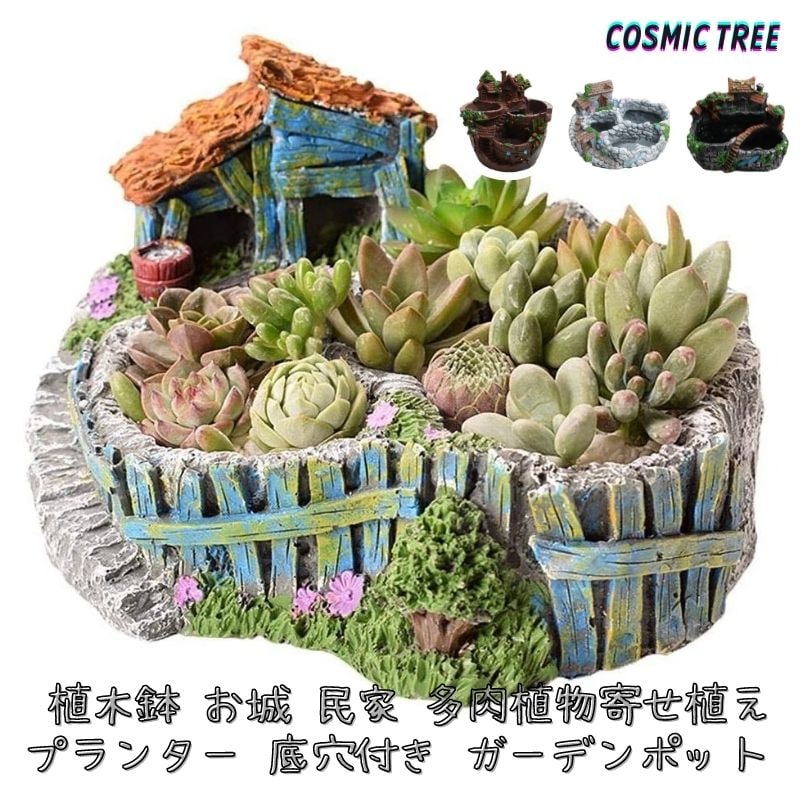 楽天市場】多肉植物 鉢(花・ガーデン・DIY)の通販 楽天市場】多肉植物 鉢(花・ガーデン・DIY)の通販