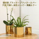 植木鉢 プランター プランターカバー 穴有 穴無し 金色 シャビー 真鍮カラー ゴールド シャビー 陶器 室内 サボテン 多肉植物にお勧め フラワーベース 花器...