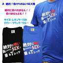 【メール便対応1個まで】ウケ狙いに ギャグTシャツ 「絶対に負けられない」 M-Lサイズ ジョークT おもしろT バレンタインプレゼント、景品にも最適