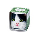 聖新陶芸 おちょこで猫草 黒 GD-102902 栽培セットギフト プレゼント