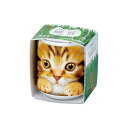 聖新陶芸 おちょこで猫草 茶 GD-102903 プレゼント 栽培セットギフト