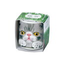 聖新陶芸 おちょこで猫草 グレー GD-102904 プレゼント 栽培セットギフト