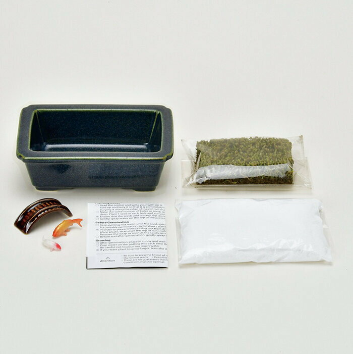 聖新陶芸 禅庭 ZEN GARDEN 鯉 GD-104702 ギフト 母の日 父の日 ガーデニング 栽培...