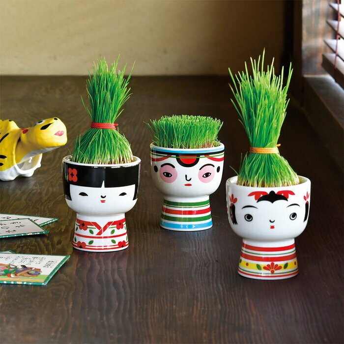 聖新陶芸 芝って栽培キット KOKESHI ぼうず GD-104802 父の日 ギフト 栽培セット ...