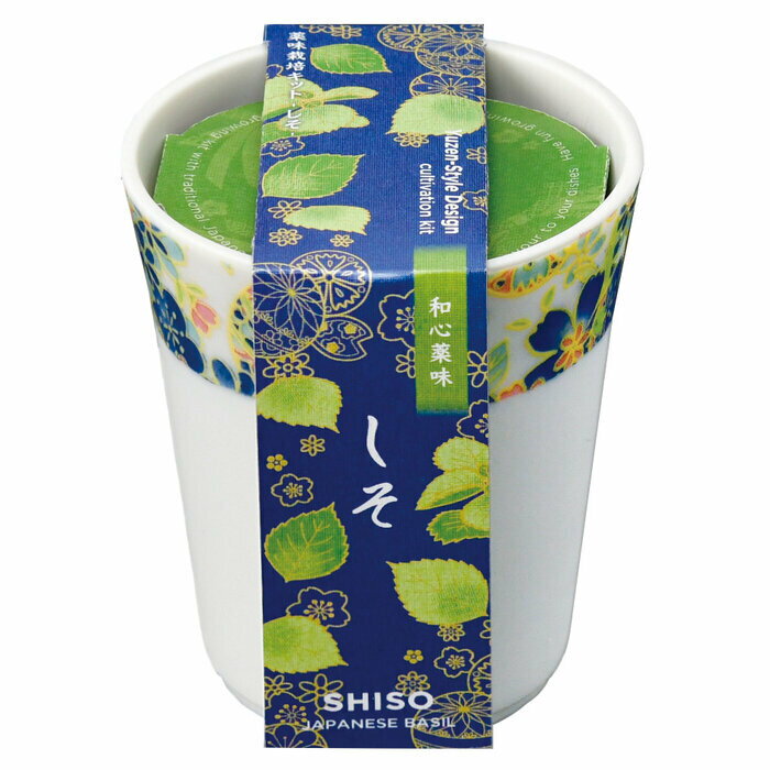 聖新陶芸 和心薬味 しそ GD-104901 父の日 ギフト 栽培セット ガーデニング 母の日のサムネイル