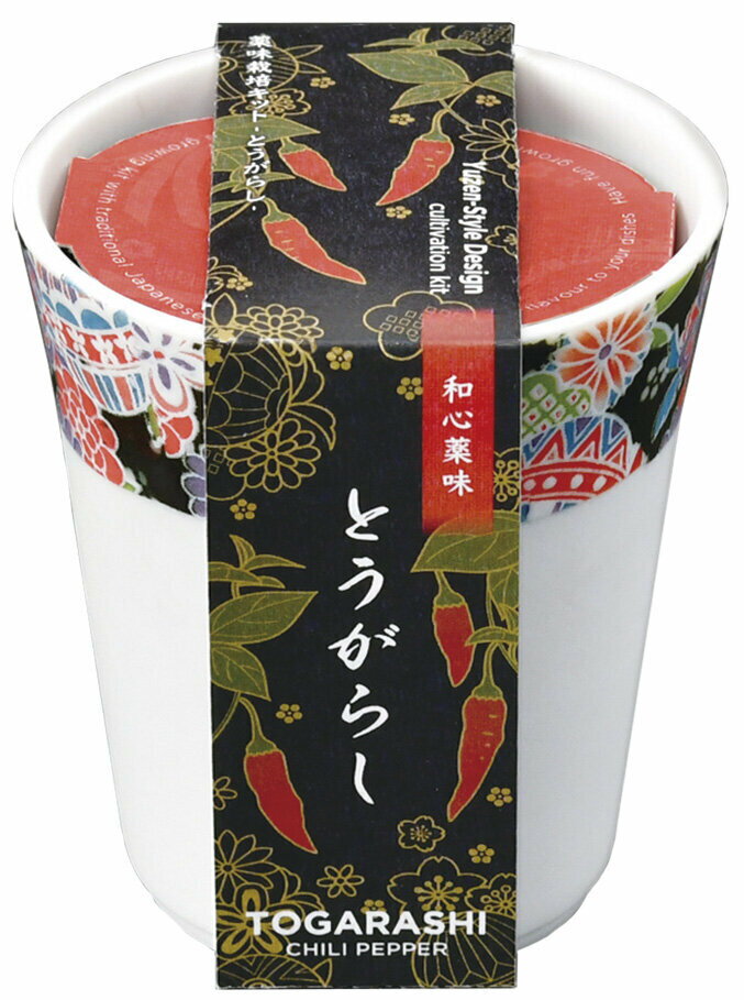 聖新陶芸 和心薬味 とうがらし GD-104902 ガーデニング 栽培セット ギフト 母の日 父の日のサムネイル