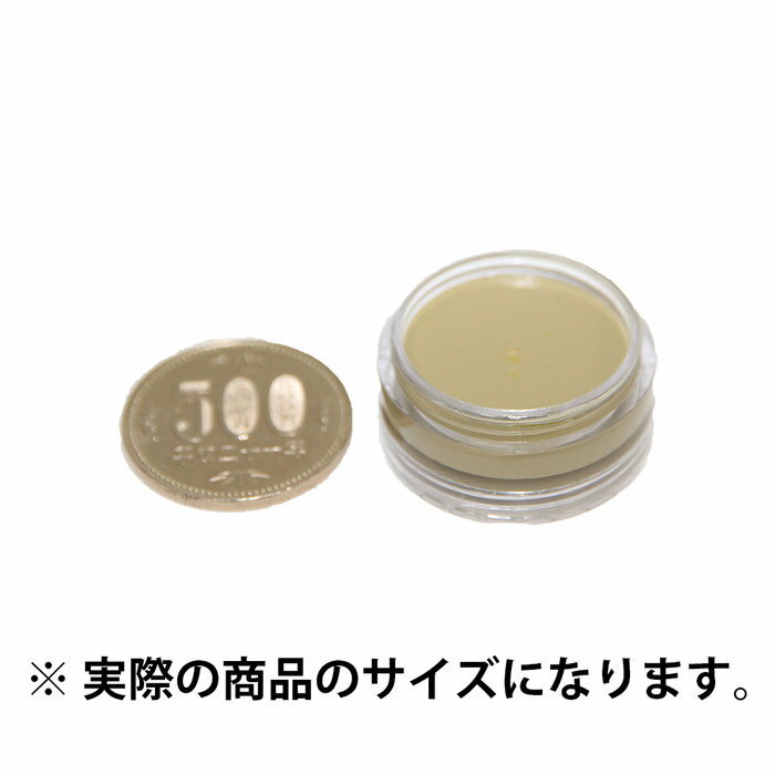 【メール便対応5個まで】米国シネマシークレット社製 1/8oz. クリームメイクアップ フォレンジックグリーン Cream Makeup Forensic Green (0.125oz/7g) CC048 薄緑色