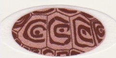 【メール便対応5個まで】米国シネマシークレット社製 トータス 貼るインスタントアイシャドウ（カラーオン） Tortoise CO049