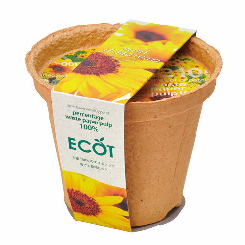 インスタ映えの聖新陶芸 スマイル サンフラワー エコット プチプラ 植物 ギフト プレゼント 景品 栽培セット ガーデニング グリーンのサムネイル