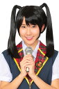 カツランド 黒髪ツインテール かつら 宴会 コスプレ かつら パーティー グッズ