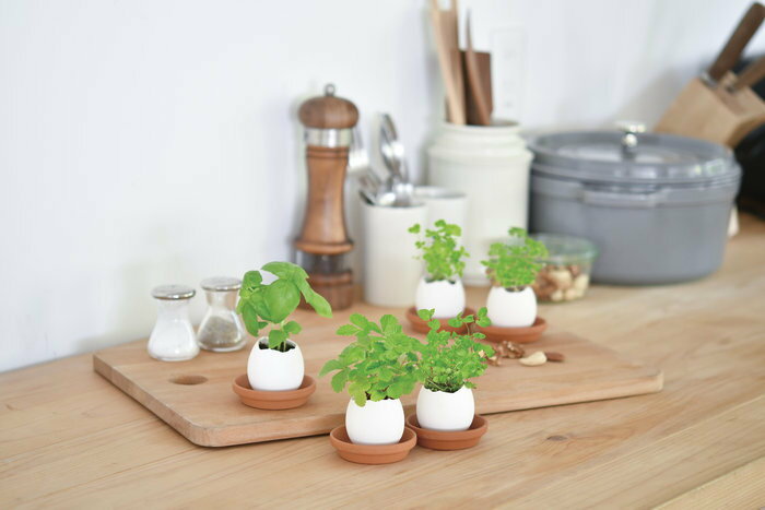 ����ƫ�� EG-5701 ���å���� ���ꥢ�ѥå����� �ߥ�� ���ե� ���տ�ʪ �ץ쥼��� ���ݥ��å� �����ǥ˥� ���󥹥��Ǥ��� ����ƥꥢ����