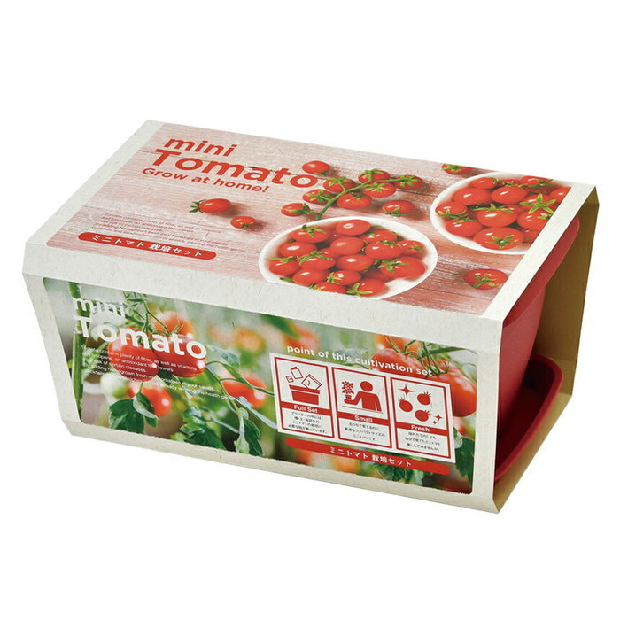 聖新陶芸 GD-93102 ENJOY PLANTER VEGE MINI TOMATO エンジョイプランター ベジ ミニトマト プチ菜園 インスタ映えの 栽培セット ギフト ガーデニング インテリア雑貨 プレゼント 観葉植物