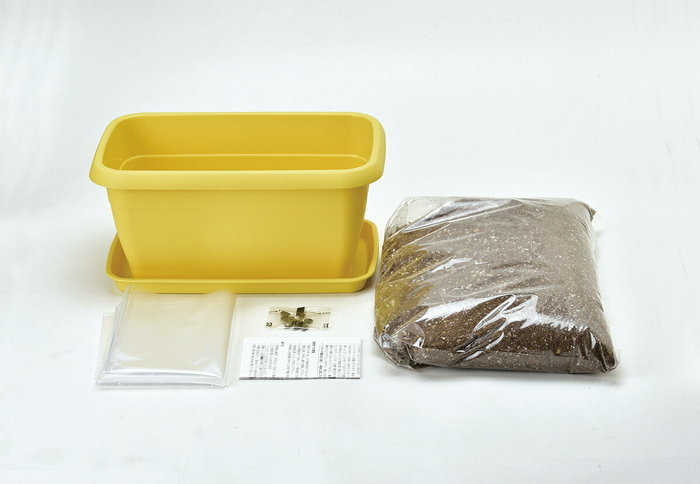 聖新陶芸 GD-93201 ENJOY PLANTER FLOWER エンジョイプランター フラワー ミニヒマ...