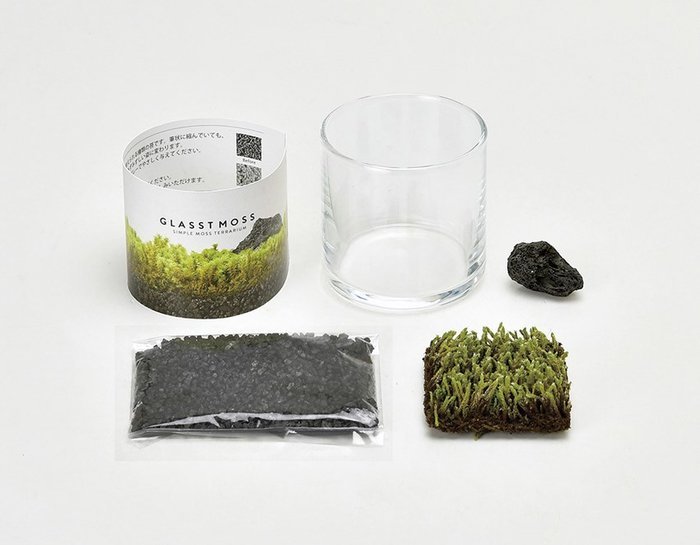聖新陶芸 GD-934 グラストモスL GLASSTMOSS 苔テラリウム コケ 栽培セット ガーデ...