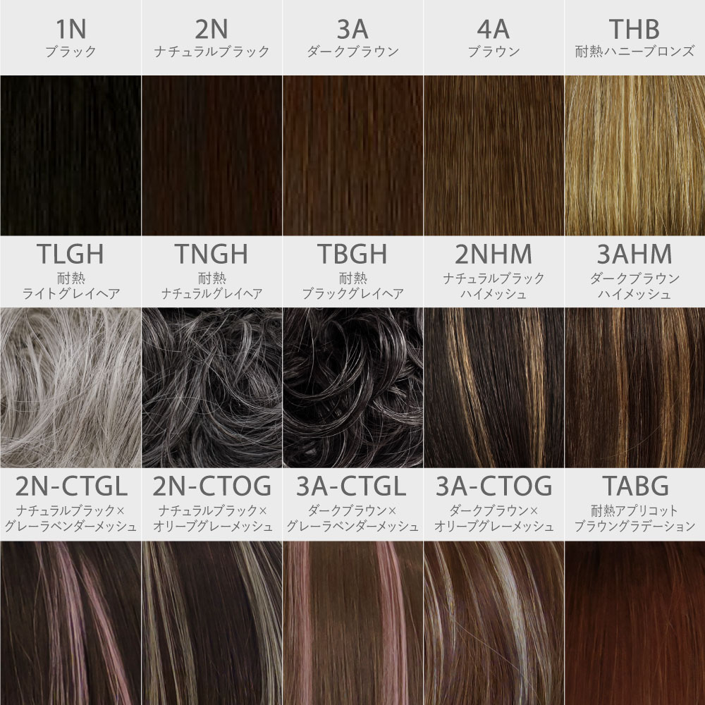 【5％OFFクーポン対象】【新色発売】ヘアピース ちょびっと白髪隠しウィッグ 長さ...