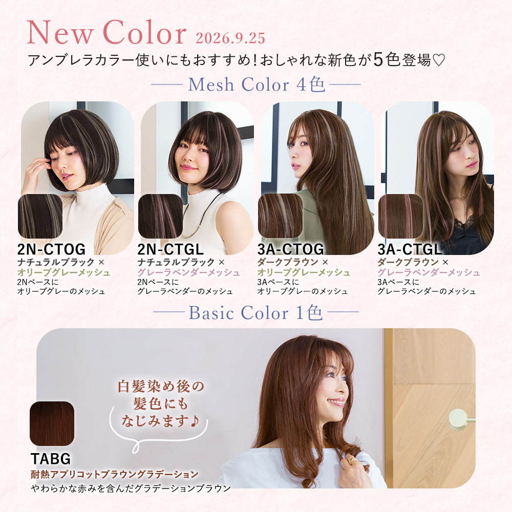 【5％OFFクーポン対象】【新色発売】ヘアピース ちょびっと白髪隠しウィッグ 長さ...