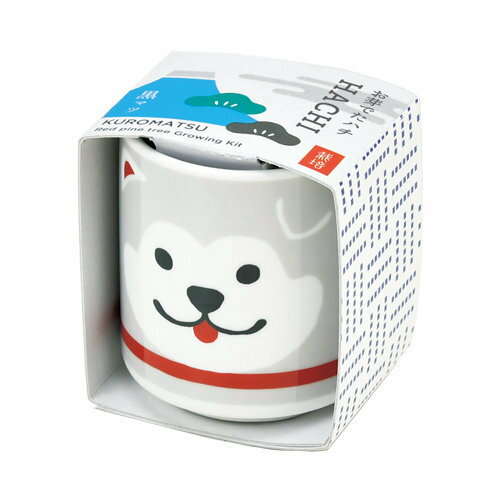 聖新陶芸 GD-92202 お芽でたおちょこ ハチ公 グレー 黒松 植物栽培セット 学習教材 プレゼント ギフト 母の日 父の日 景品