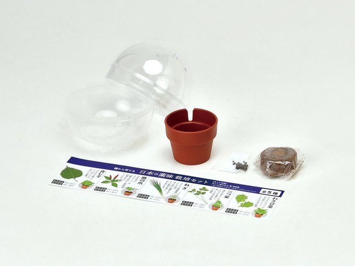送料無料 聖新陶芸 GD-926 育てるカプセル 薬味 わさび菜 三つ葉 ねぎ 鷹の爪 青じ...