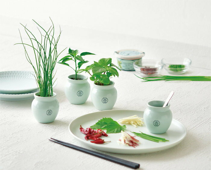 聖新陶芸 GD-99802 TSUBO 唐辛子 植物栽培セット 母の日 ギフト 父の日 プレゼント...