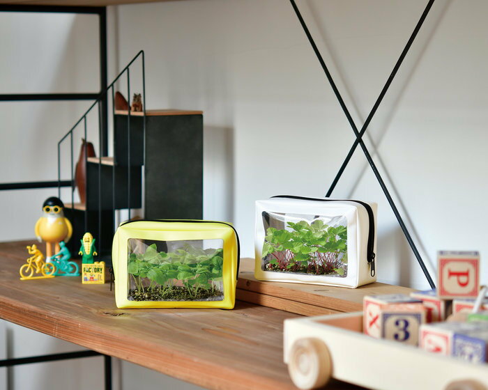 ����ƫ�� ���꡼��ݡ��� �� �磻��ɥ��ȥ��٥꡼ GD-100402 ���󥹥��Ǥ� ���ݥ��åȥ��ե� ���� �ץ쥼���