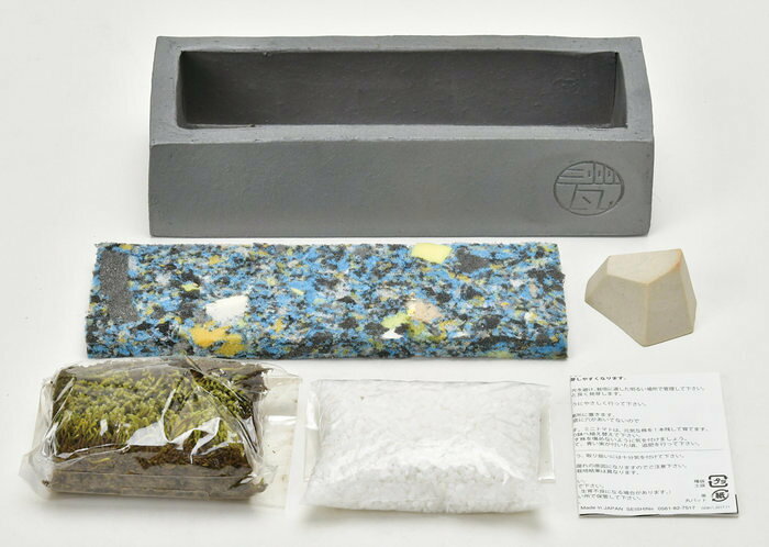聖新陶芸 瓦盆景 KAWARA-BONKEI GD-1010 インスタ映え 景品 プレゼント 栽培セット...
