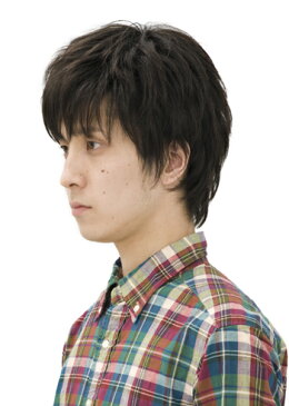 送料無料 メンズウィッグ メンズエッグ 男性かつら ウイッグ J-5699 スマートショート ナチュラルブラック メンズウイッグ