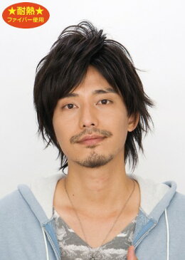 送料無料 メンズウィッグ 耐熱 メンズエッグ 男性かつら ウイッグ J-5737 カジュアルスタンダード スタンダードブラック メンズウイッグ