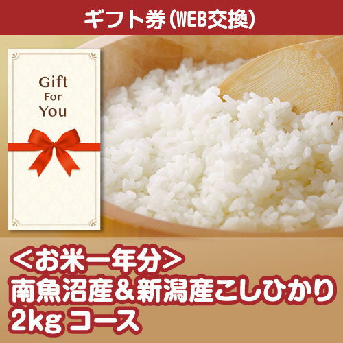 yMtg iiMtgz ĈN 싛YVYЂ2kgR[X sbsc-rice3-gf ̓ ԗi  j ̓ a i  Ε