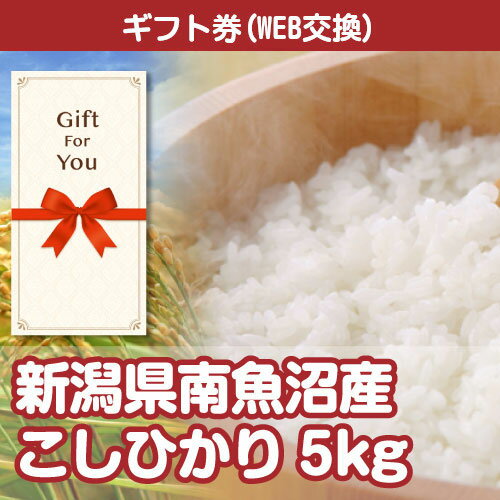 送料無料【ギフト券 景品ギフト】 新潟県南魚沼産こしひかり5kg sf-005-gf 誕生日 父の日 贈答品 母の日 返礼品 御礼 御祝 お中元 お歳暮