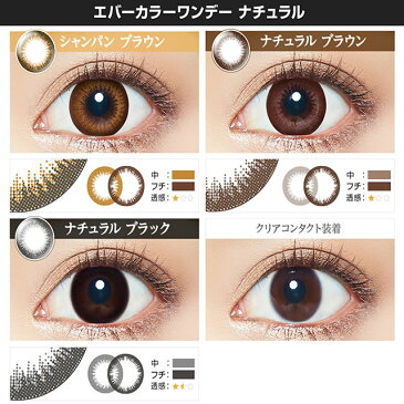 【度つきカラコン★1日★1箱20枚入り★DIA14.5mm】エバーカラーワンデーナチュラル シャンパンブラウン【RCP】 apap8 02P03Dec16