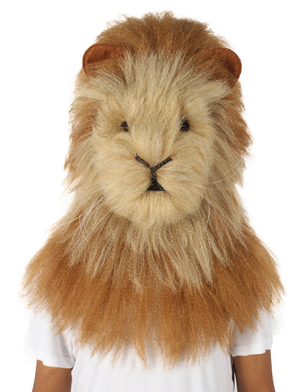 かつら ウィッグ H-5600 ワールドカップ オリンピック 舞台 クリスマス コスプレ 姫 ディズニー 映画 U..