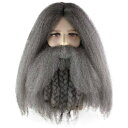 パーティウィッグ 仮装 コスプレ ハロウィン アフロ ボブ 業界激震 高品質 ウィッグ専門店 フルウィッグ H-2269