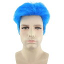 H-2293 パーティウィッグ 仮装 コスプレ ハロウィン アフロ ボブ 業界激震 高品質 ウィッグ専門店 フルウィッグ