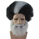 H-4789 パーティウィッグ 仮装 コスプレ ハロウィン アフロ ボブ 業界激震 高品質 ウィッグ専門店 フルウィッグ