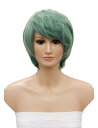 【Wigs2you】在庫処分セール 70 OFF C-009 ページA コスプレウィッグ 日本製高級ファイバー使用 フルウィッグ 耐熱 コスプレ ハロウィン 仮装 男装 女装 ショート 最高級 ナチュラル かつら Wig 簡単 小顔 高遠丞風 瑠璃川幸 激安