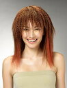 トップに細かいカールで、下の部分はストレート☆ はっきり分けてる強烈な対比を見えせちゃえ! ウィッグネット付き♪