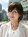 耐熱☆ショートウィッグ☆シルエットの綺麗なボブスタイル♪ 老若男女大人気!コテ・アイロンOK! ウィッグネット付き♪