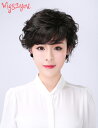 【Wigs2you】HHB-054 ミセスウィッグ 医療用 フルウィッグ 人毛ミックス ショート 人毛+耐熱ファイバー 最高級 ナチュラル かつら ミセススタイ...