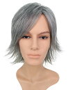 【即納】【Wigs2you】メンズウィッグ ウィッグ メンズ 男性用 かつら 簡単着用 日本製高級ファイバー使用 WM-034 フルウィッグ 最高級 おしゃれ ...