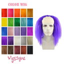 かつら ウィッグ colorwig-033 マッドサイエンティスト 博士 科学者 ピエロ ワールドカップ オリンピック 舞台 クリスマス コスプレ 姫 ディズニ...