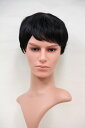 【Wigs2you】在庫処分セール 70 OFF タイムセール メンズウィッグ ショート Wigs2you HA-009_auc 男装 コスプレパーティーウィッグ かつら 仮装 アニメ 新商品 限定 簡単着用 舞台 ハロウィン コスプレ パーティー 祭り イベント フルウィッグ 激安 【楽天BOX受取対象商品】