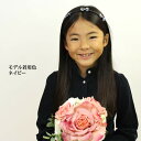 カチューシャ 痛くない いたくない リボン キッズ 子供 チェック 結婚式 ssr714 2