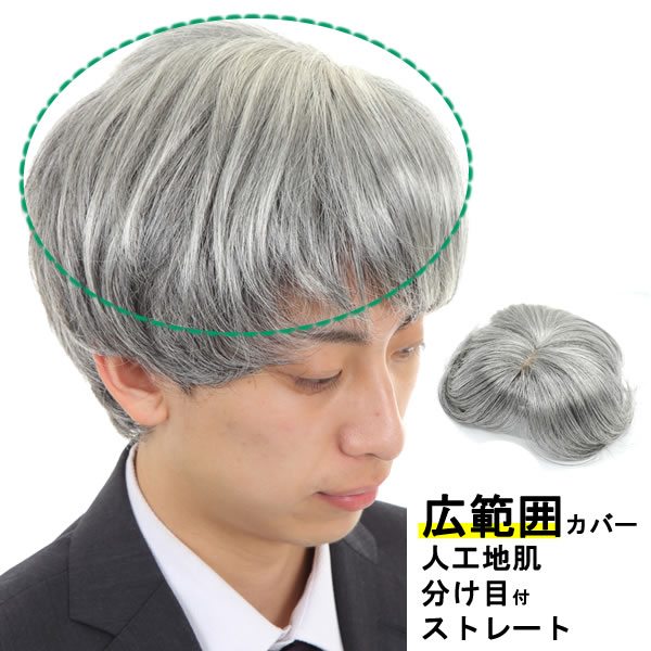 男性用 カツラ メンズウィッグ ヘアピース 白髪 しらが 男性用 メンズ 部分ウィッグ 広範囲カバー 部分ウィッグ ストレート tk36