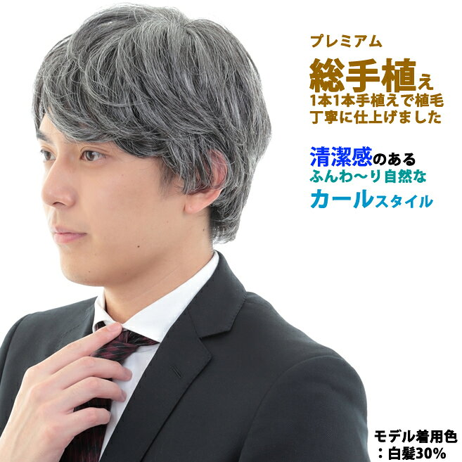 ウィッグ 男性用 メンズ 白髪 医療用 ウィッグ かつら 総手植え フルウィッグ しら...