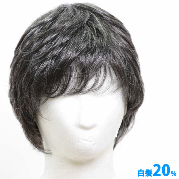 ウィッグ 白髪 白髪 男性用 メンズ 薄毛隠し...の紹介画像3