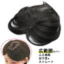 ウィッグ 白髪 部分ウィッグ 薄毛隠し 女性 グレーヘアー グレイヘア ヘアピース しらが 白髪 送料無料 ミセス 部分ウィッグ ストレート tk36