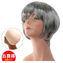 ウィッグ しらが 白髪 ショート フルウィッグ 送料無料 女性かつら ミセスウィッグ かつら tm11wtset