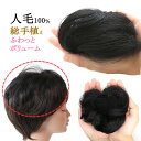 ヘアピース 人毛100% 円形脱毛症 部分ウィッグ ポイント...